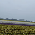 아파트 Il Mulino House B *