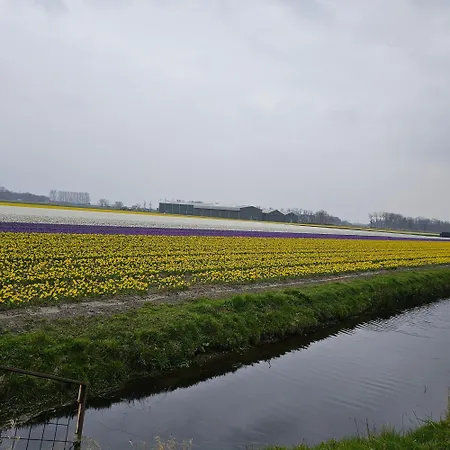 Il Mulino House B Апартаменты *