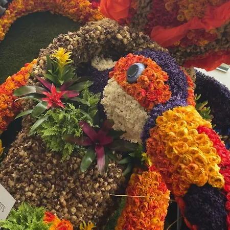 Il Mulino House B Apartment