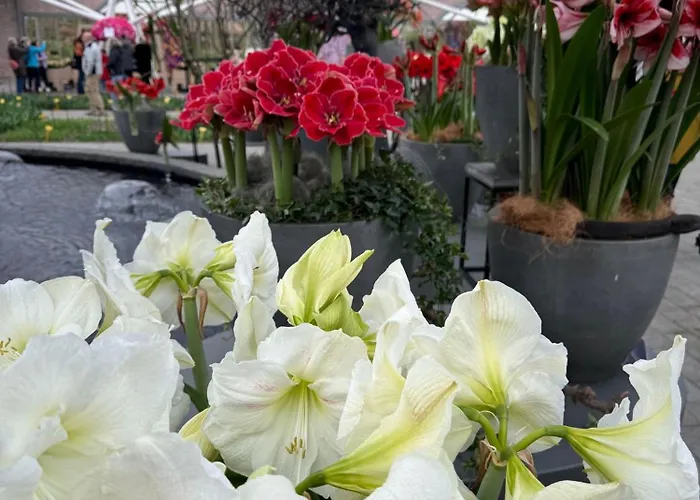 Il Mulino House B شقة لِسِه