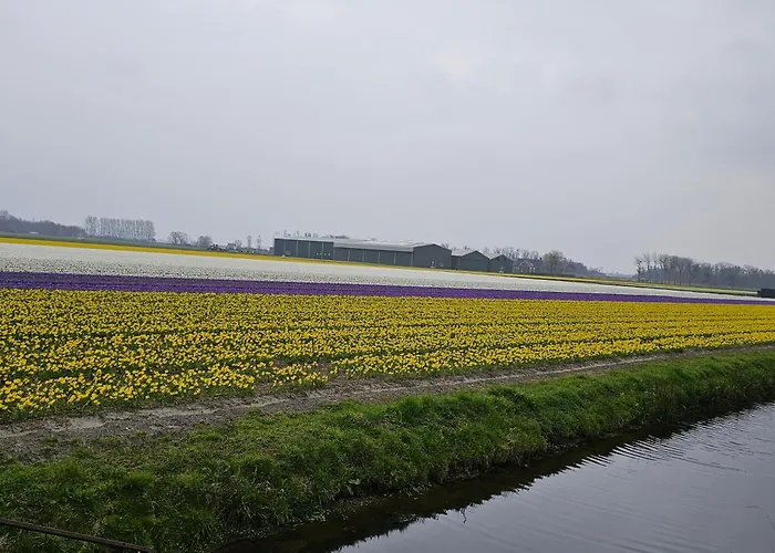 Il Mulino House B شقة *