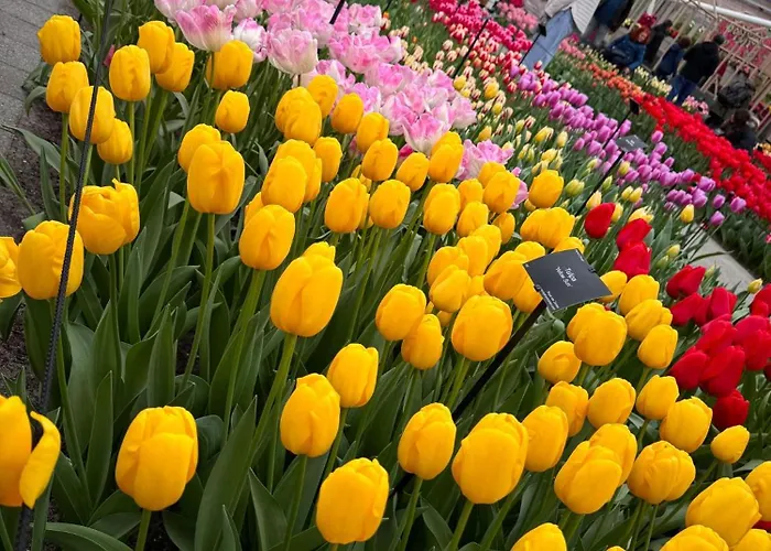 شقة Il Mulino House B