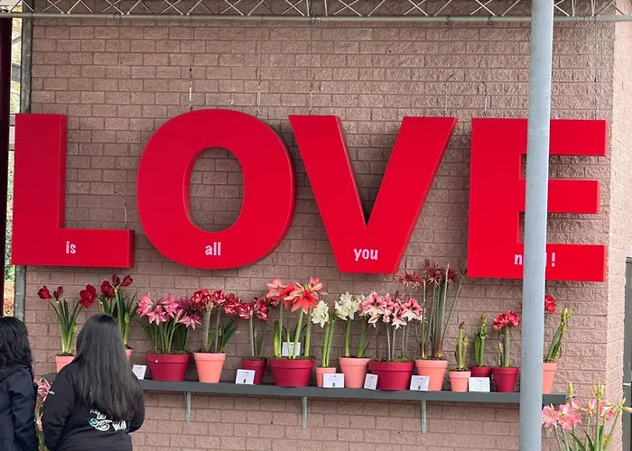 Il Mulino House B * لِسِه