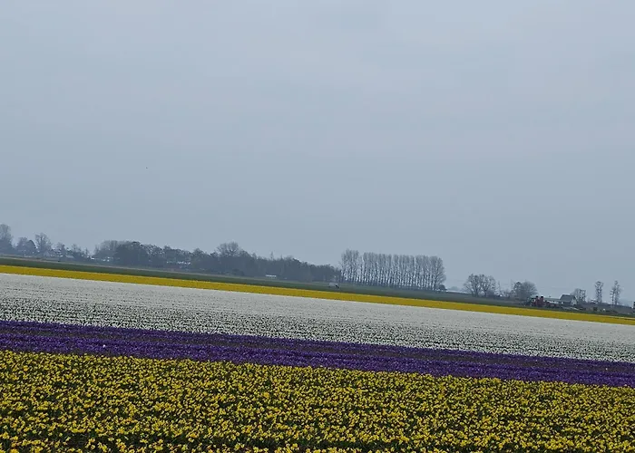 شقة Il Mulino House B *