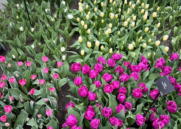 شقة Il Mulino House B