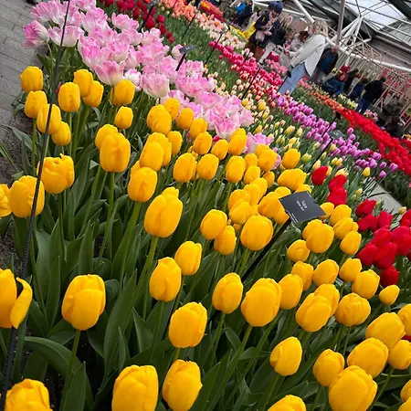 Apartmán Il Mulino House B