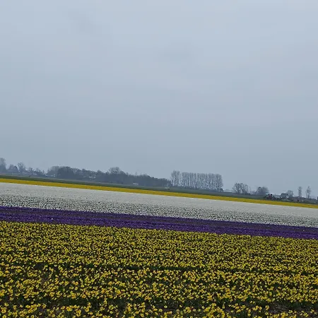 Apartmán Il Mulino House B *