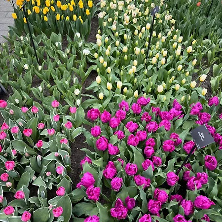 Apartmán Il Mulino House B