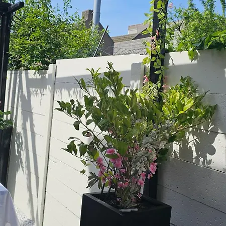 Apartmán Il Mulino House B Lisse